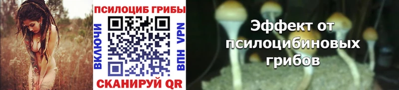 Псилоцибиновые грибы MAGIC MUSHROOMS  Монино 
